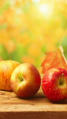 سیب-میوه-قرمز-زرد