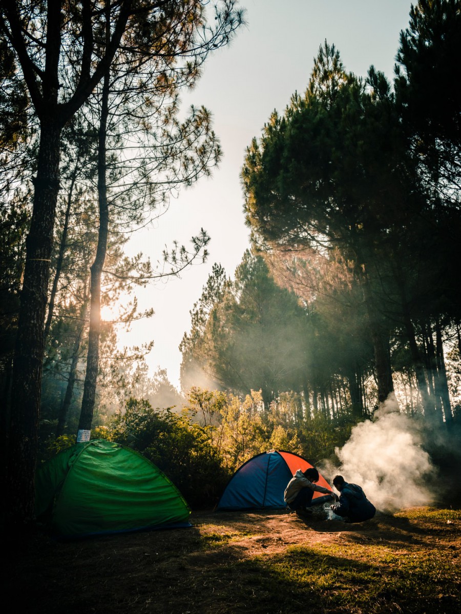 جنگل-کمپ-چادر