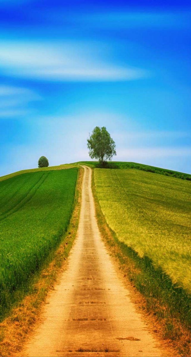 دشت-آسمان-سبز-درخت