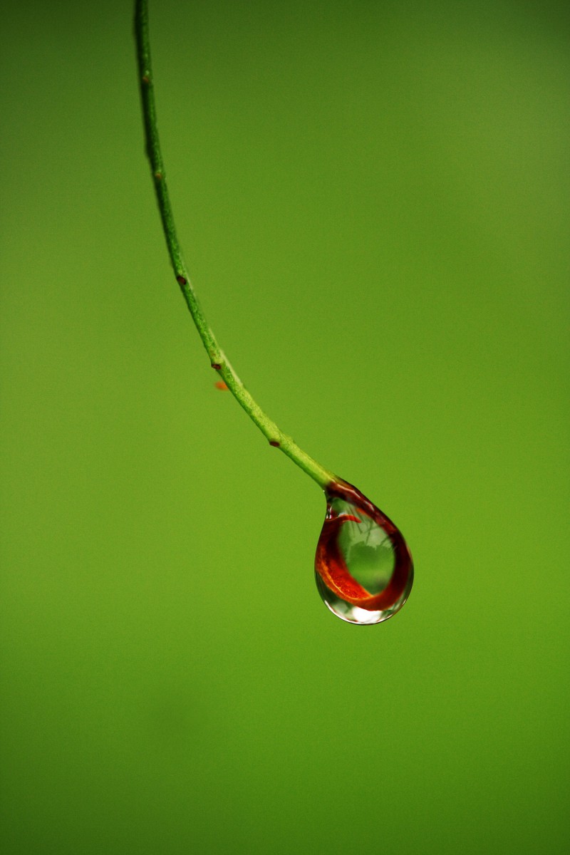 سبز-قطره