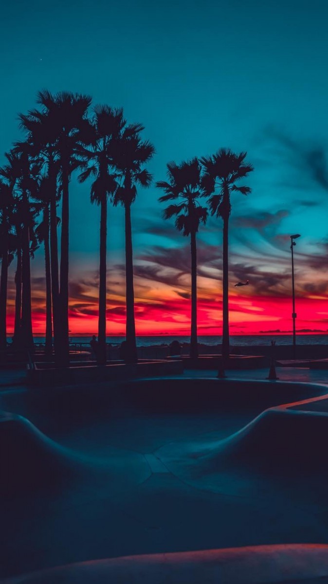 شب-نخل-غروب