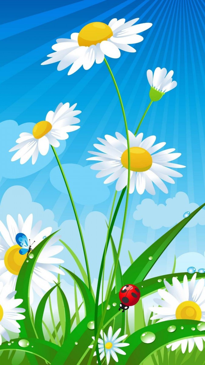 کفش دوزک-سبزه-حشرات-حشره-گل