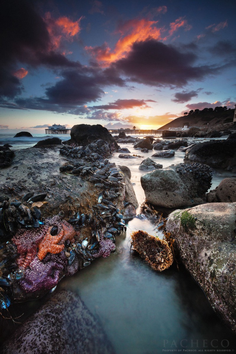 صخره-دریا-ساحل-غروب-ستاره دریایی