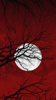 ماه-درخت-آسمان-قرمز