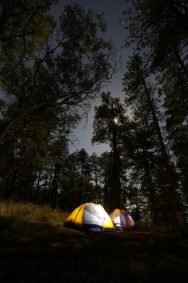 کمپ-چادر-جنگل-شب