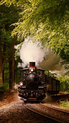 جنگل-ریل قطار-قطار-سبز