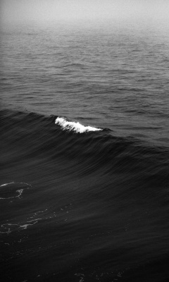 موج-سیاه و سفید