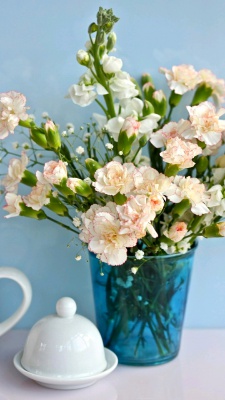 گل سفید-گلدان