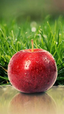 سیب-سیب قرمز-چمن-میوه