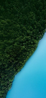 جنگل-آبی-سبز-دریا-ساحل