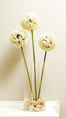 گل-گلدان-سفید