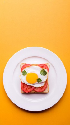 زرد-تخم مرغ-صبحانه