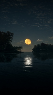 ماه-شب-دریاچه