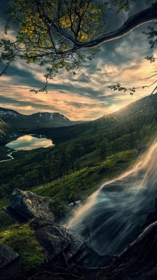 دشت-آبشار-دریاچه-شاخه