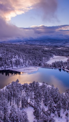 دریاچه-زمستان-برف-برفی-جنگل