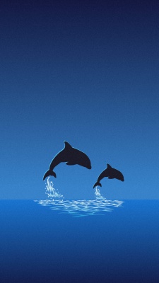 آبی-دلفین