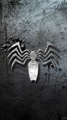 عنکبوت-خاکستری