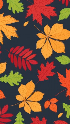برگ-پاییز-رنگی-زرد-قرمز