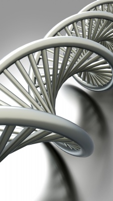 طوسی-دی ان ای-DNA