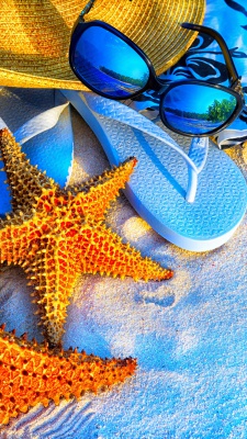 ستاره دریایی-عینک-ساحل