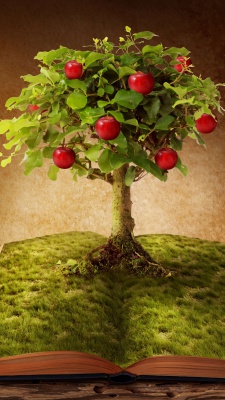 درخت-سیب-میوه-کتاب