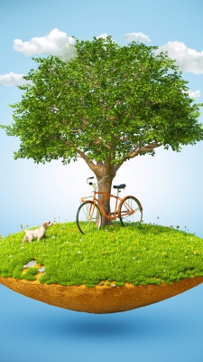 درخت-سبز-دوچرخه