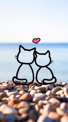 گربه-عشق-عاشقانه-سنگ-ساحل-دریا