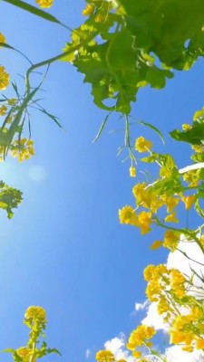 عکاسی-فیلمبرداری