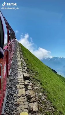 قطار-دشت-دریاچه-مرتع-بیشه-کوهستان