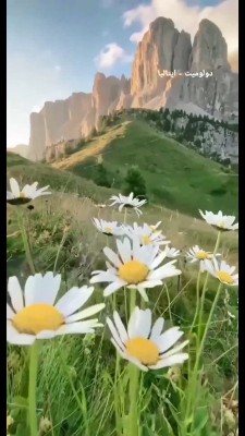 صخره-گل-دشت