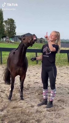 اسب-رقص-حیوان-دختر
