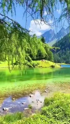 طبیعت-منظره-دریاچه