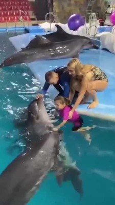 دلفین-حیوان-بچه