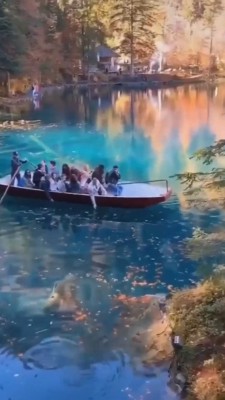 قایق-دریاچه-جنگل
