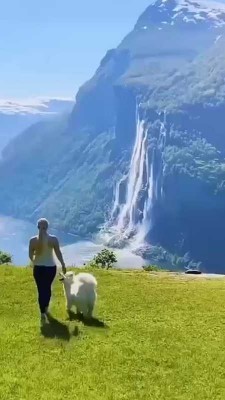 آبشار-دشت-منظره-طبیعت-حیوان-حیوانات
