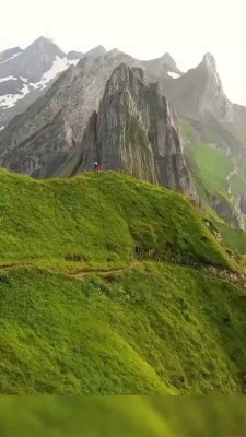 دشت-صخره
