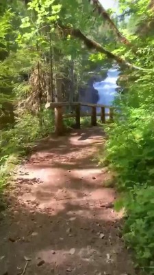 آبشار-جنگل