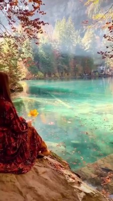 دختر-دریاچه-جنگل-تنهایی