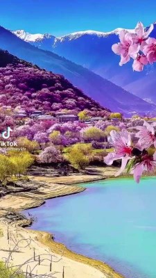 دریاچه-منظره
