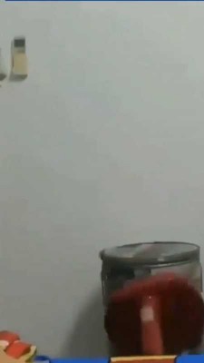 حیوان-گربه-طنز