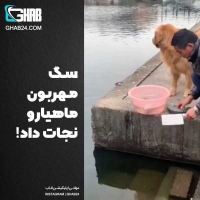 سگ مهربون ماهیارو نجات داد!
