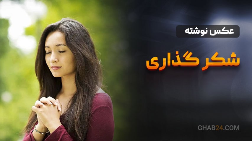 شکرگزاری