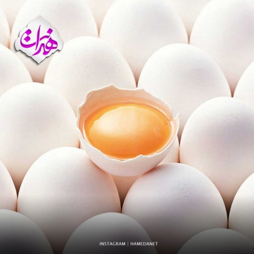 صادرات غیرمنطقی نرخ تخم‌ مرغ را در همدان گران کرد